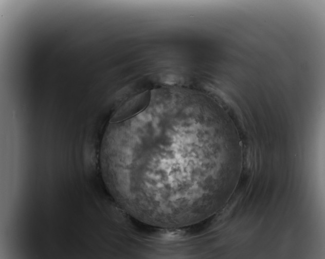 X0000088390569200705291411