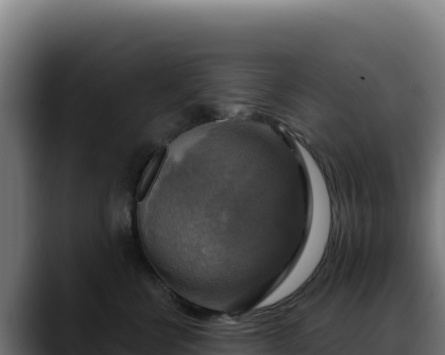 X0000088390570200705291411