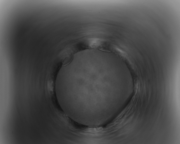 X0000088390571200705291411