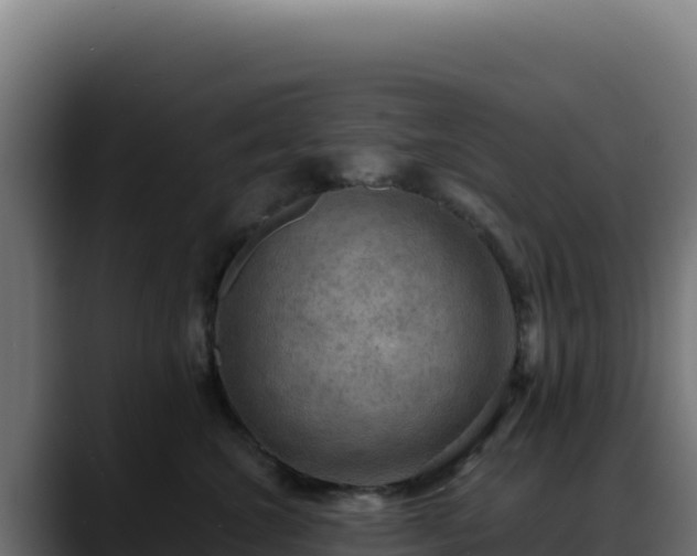 X0000088390572200705291411