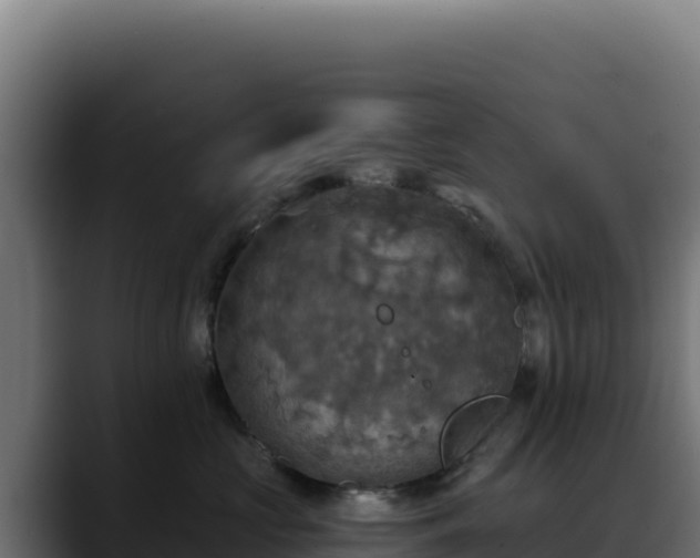 X0000088390573200705291411