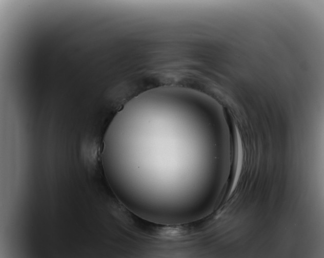 X0000088390574200705291411