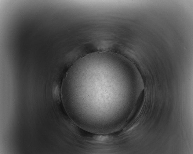 X0000088390575200705291411