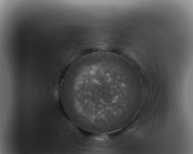 X0000088390576200705291411