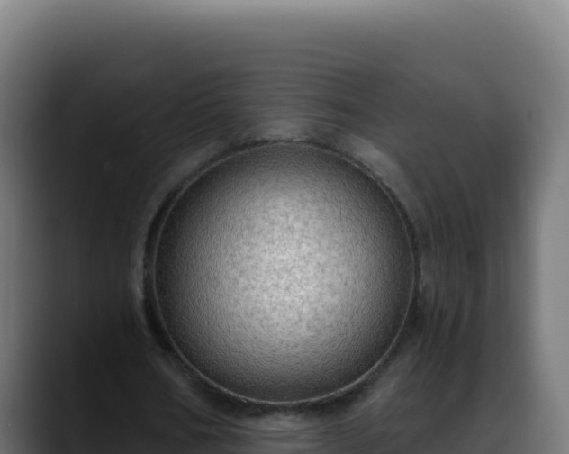 X0000088390578200705291410