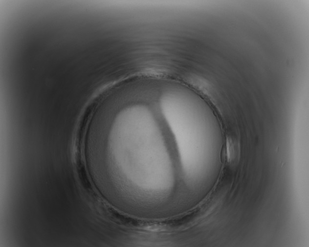 X0000088390579200705291410