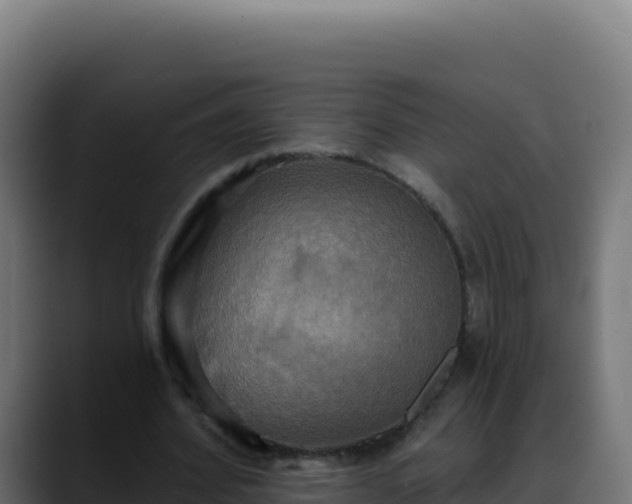 X0000088390580200705291410