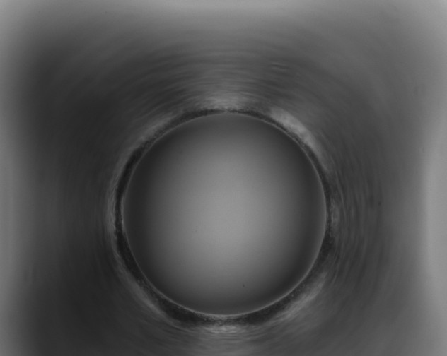 X0000088390581200705291410