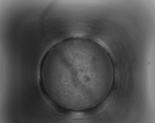 X0000088390582200705291410