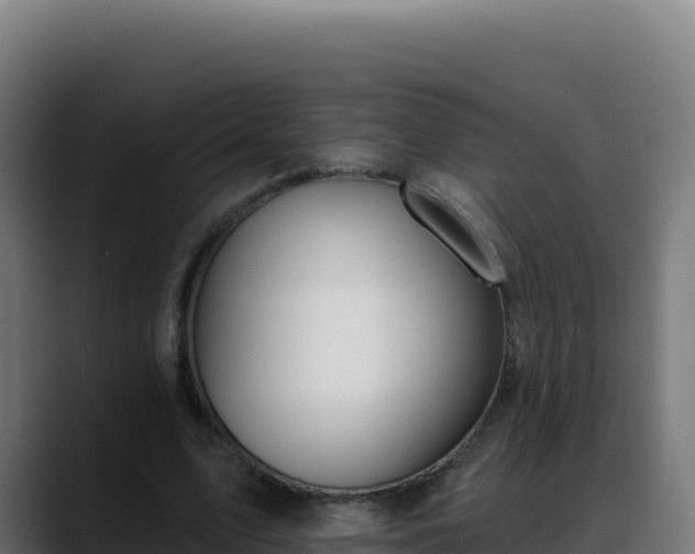 X0000088390583200705291410