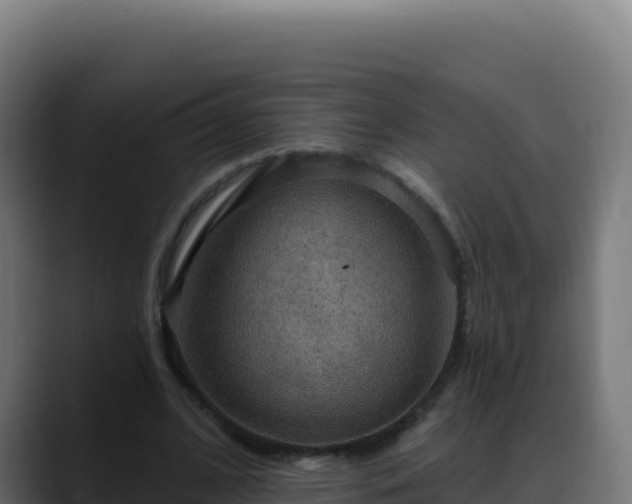 X0000088390584200705291410