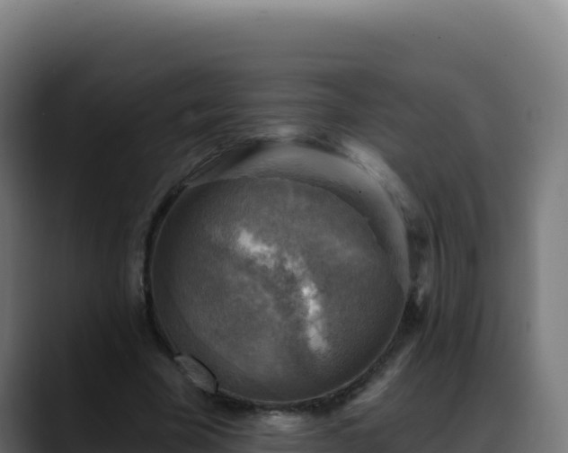 X0000088390585200705291410