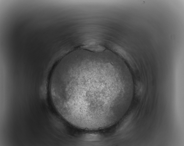 X0000088390586200705291410