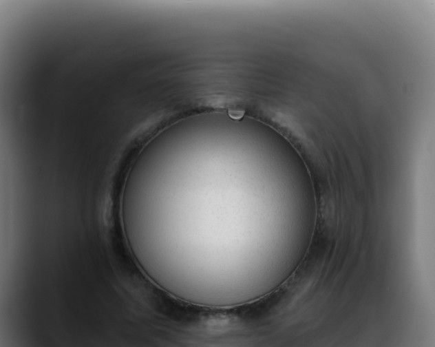 X0000088390587200705291410