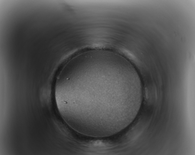 X0000088390588200705291410