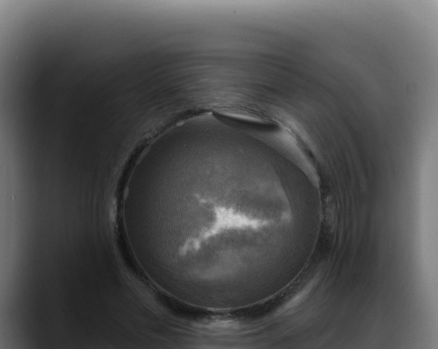 X0000088390589200705291410