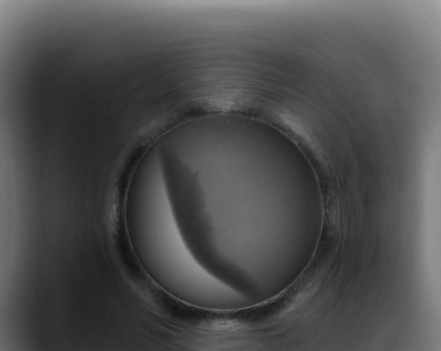 X0000088390590200705291410