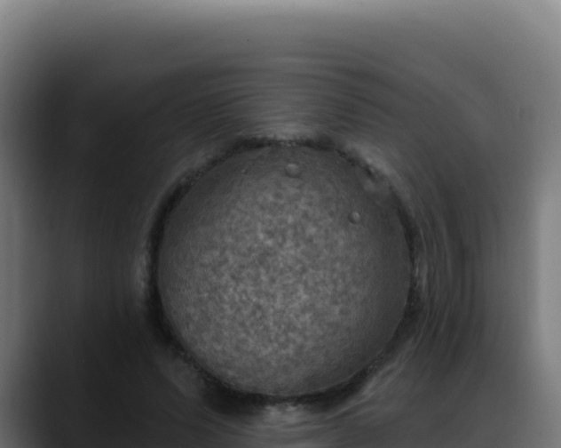 X0000088390591200705291410