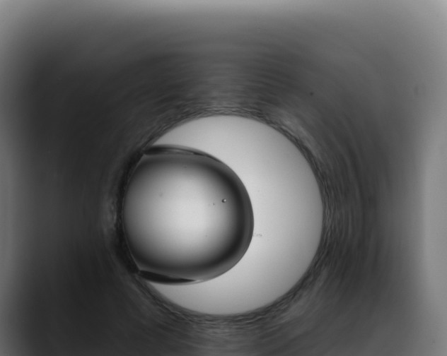 X0000088390593200705291410