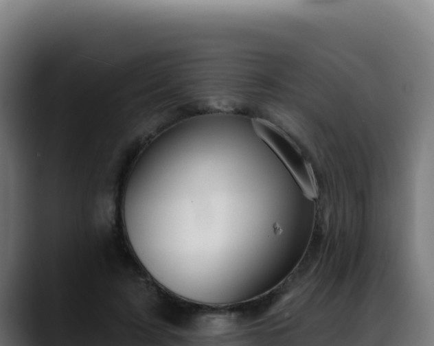 X0000088390595200705291410