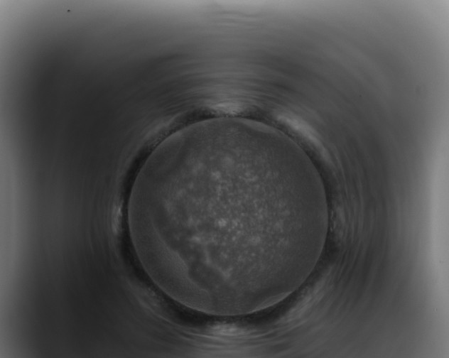 X0000088390596200705291410