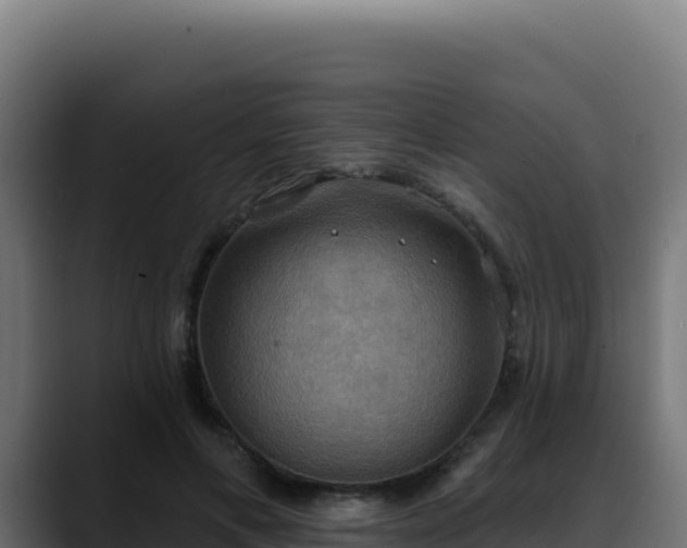 X0000088390597200705291410