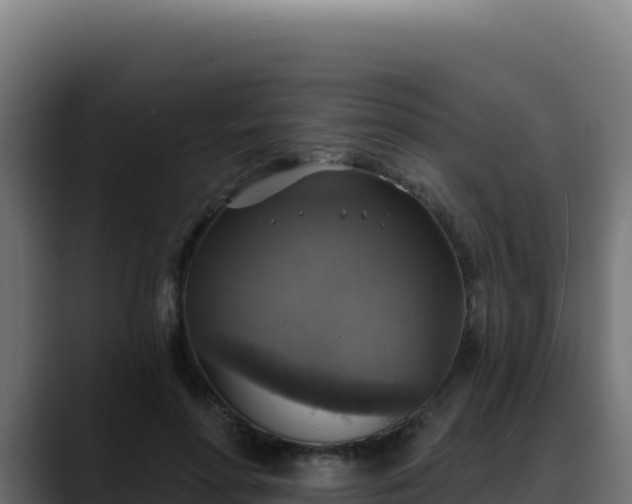 X0000088390598200705291410