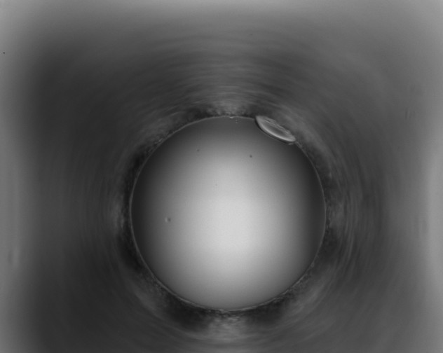 X0000088390599200705291410