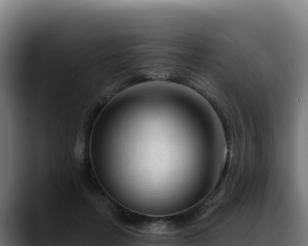 X0000088390600200705291410