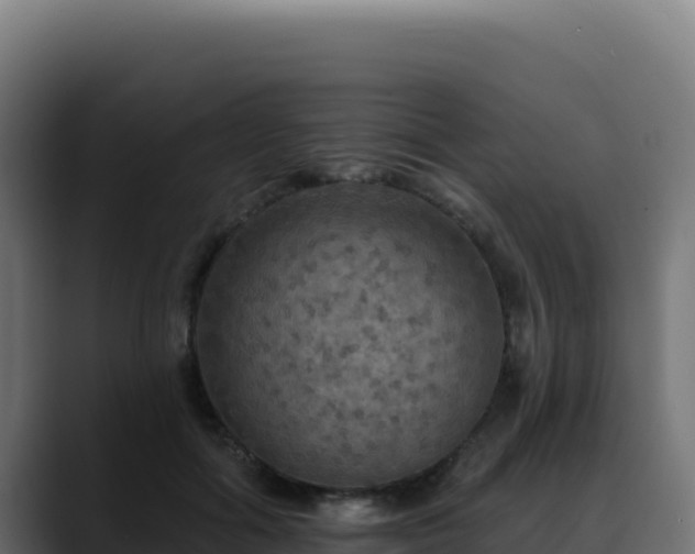 X0000088390602200705291410