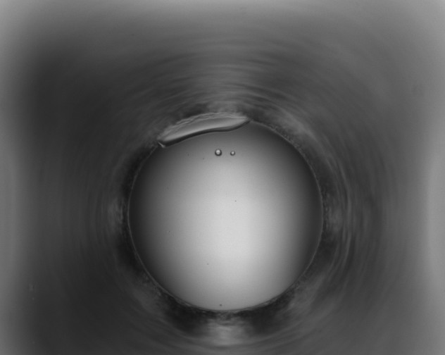 X0000088390603200705291410