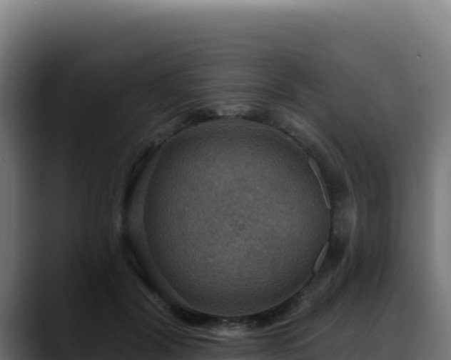 X0000088390604200705291410