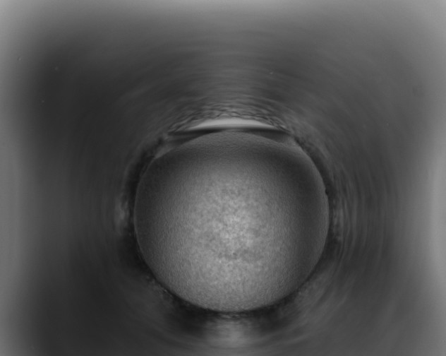 X0000088390608200705291410