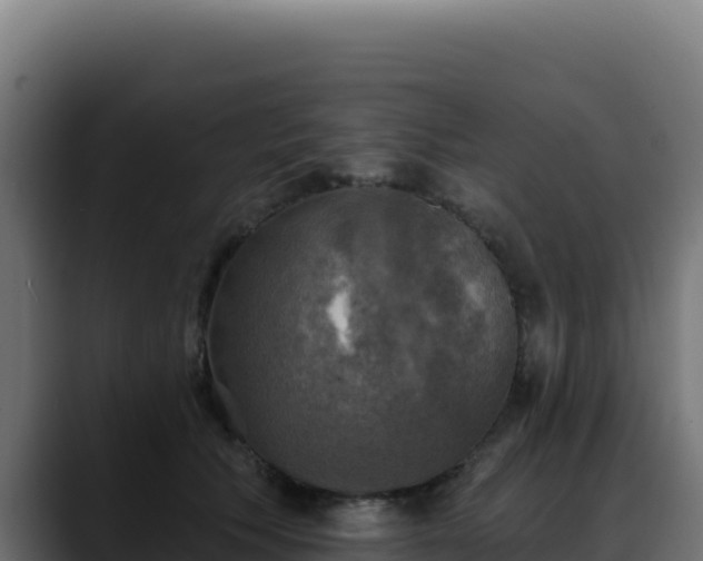 X0000088390609200705291410