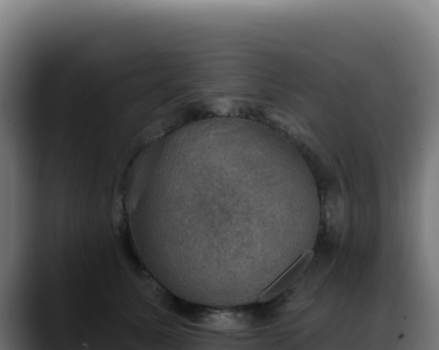 X0000088390611200705291410