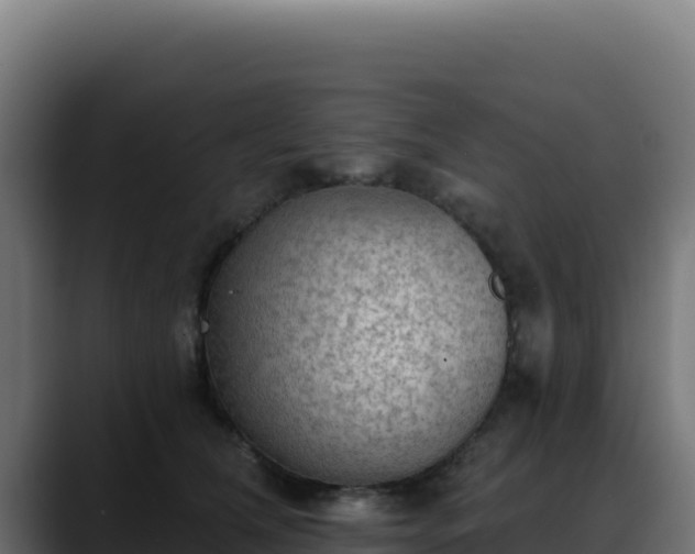 X0000088390612200705291410