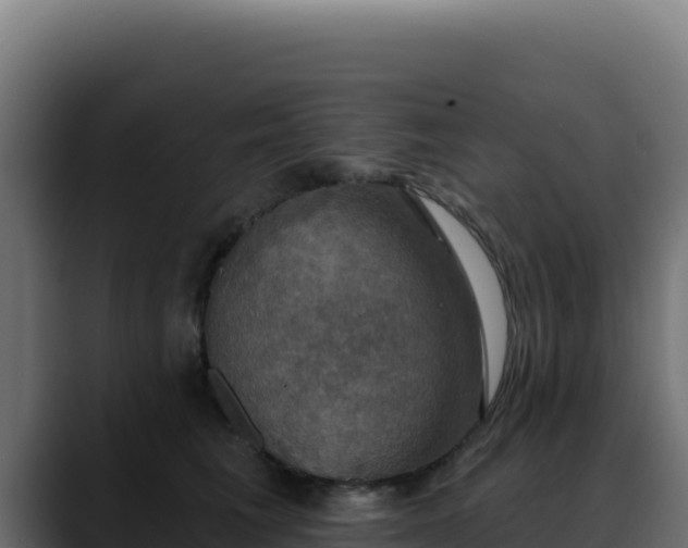 X0000088390613200705291410