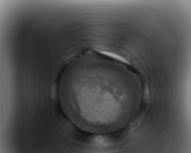 X0000088390616200705291410