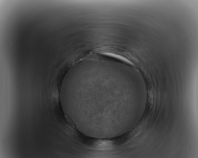 X0000088390617200705291409