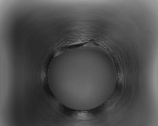 X0000088390618200705291409