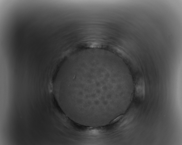 X0000088390620200705291409