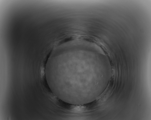 X0000088390621200705291409