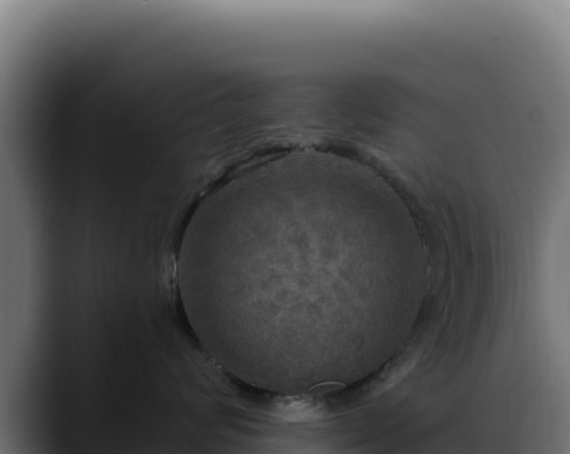 X0000088390624200705291409