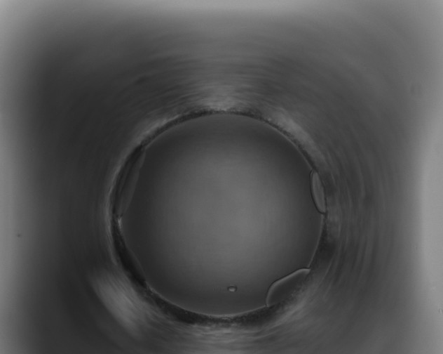 X0000088390626200705291409