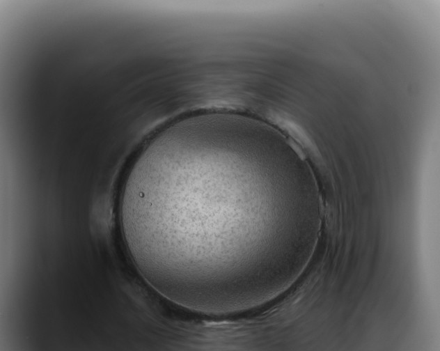 X0000088390628200705291409