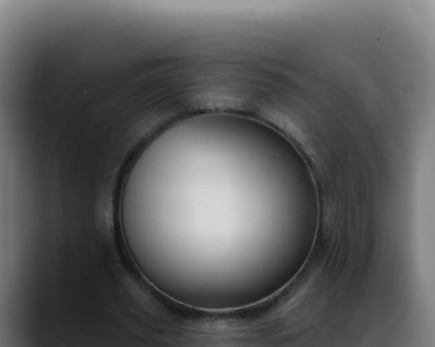 X0000088390629200705291409