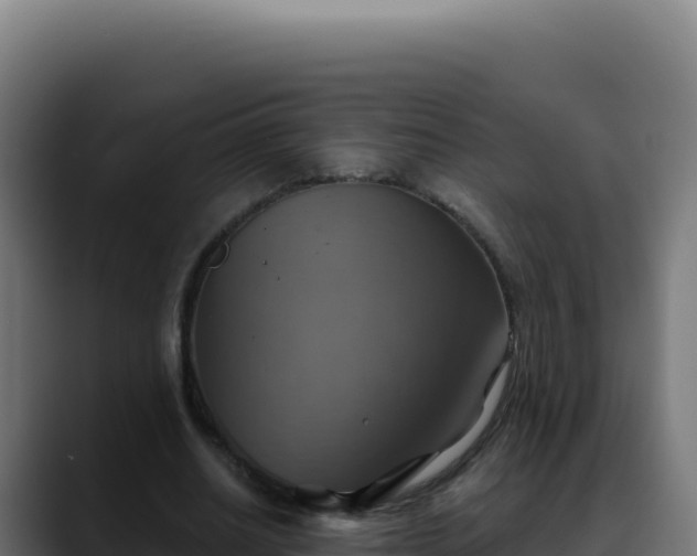 X0000088390630200705291409