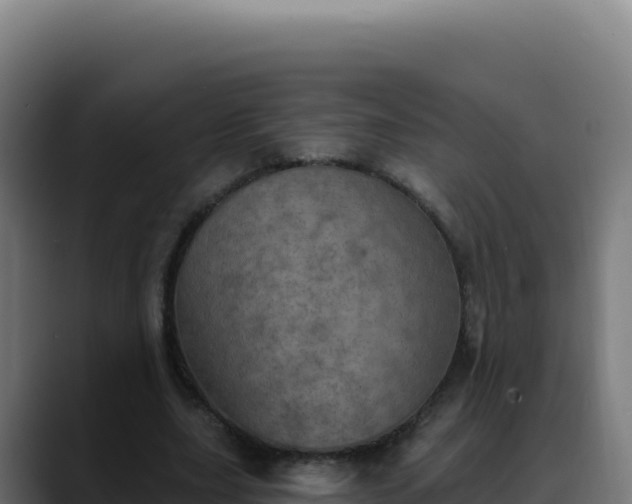 X0000088390631200705291409