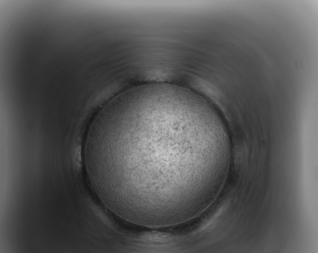 X0000088390633200705291409