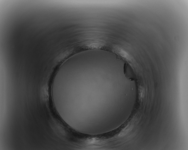 X0000088390634200705291409